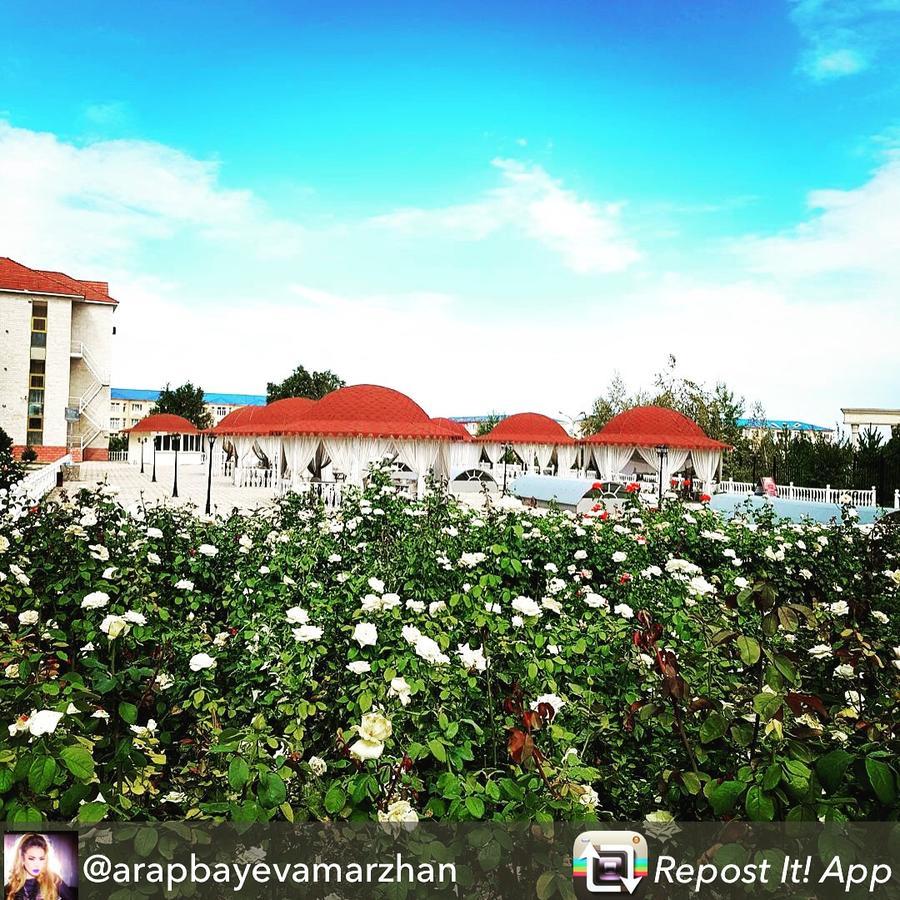 Hotel Ark Ms ทาราซ ภายนอก รูปภาพ